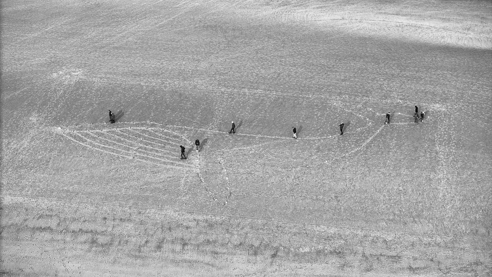 De walvistekening op het strand, gezien vanuit de lucht
