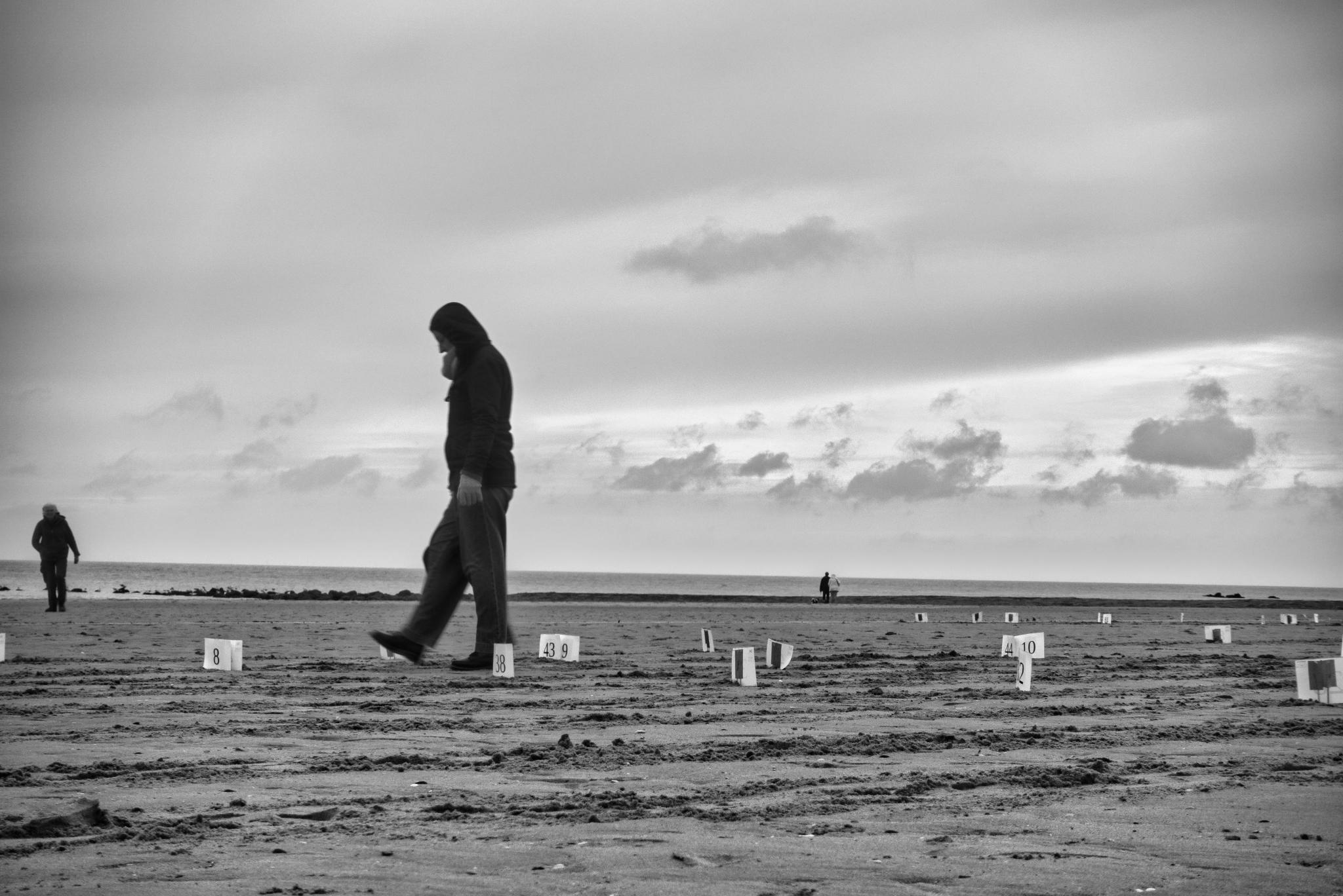 Close-up van de Walviswandeling op het strand